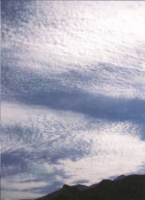 Cirrocumulus